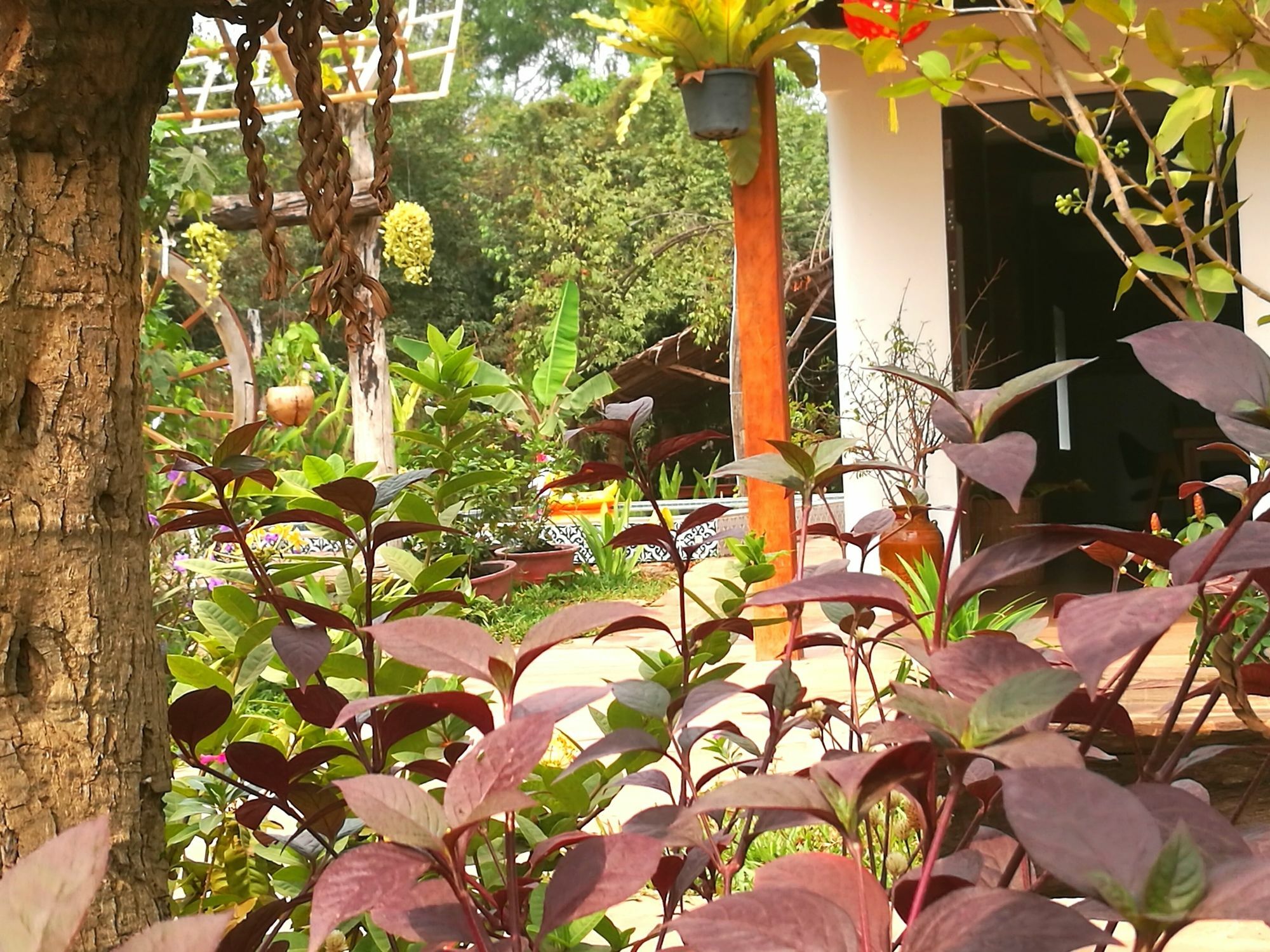 Angkor Dino B&B Ciudad de Siem Riep Exterior foto